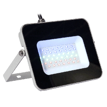 RGB LED PROJECTOR MET AFSTANDSBEDIENING - 30W IP65